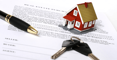 Aspecte specifice gajului