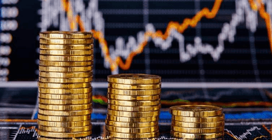 Persoanele fizice vor putea participa lunar la sesiuni de plasare a VMS 