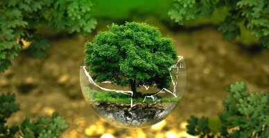 Metodologia de calculare a costului autorizației integrate de mediu, publicată