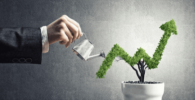 Aspecte privind reinvestirea profitului net în dezvoltarea întreprinderii