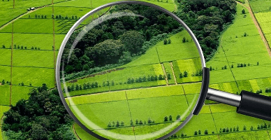 Procedura schimbării destinației terenurilor pentru exploatare minieră, elaborată