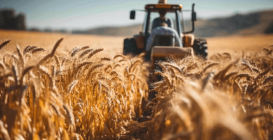 В Молдове сократился объем сельхозпроизводства