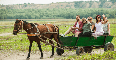 Tichetele de vacanță: gestionarea valorii nevalorificate, expirarea termenului de valabilitate și returnarea