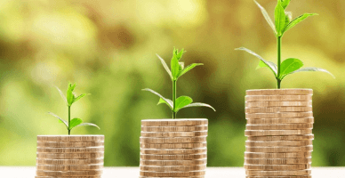 AIPA: cererile pentru forma de subvenționare în avans și pe etape deja pot fi depuse