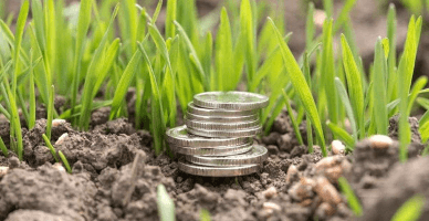 Regulamentul cu privire la garanția financiară pentru refacerea mediului la exploatarea resurselor minerale, elaborat