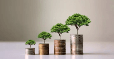 Start pentru recepționarea cererilor pentru forma de subvenționare postinvestițională