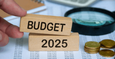 Парламент одобрил во втором чтении поправки в бюджеты на 2025 г.