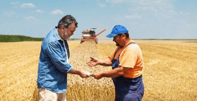 Обязанность пенсионера декларировать доходы, полученные от аренды земель сельхозназначения