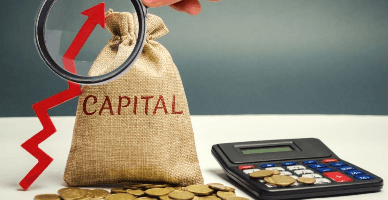 Totul despre capitalului social al societății comerciale