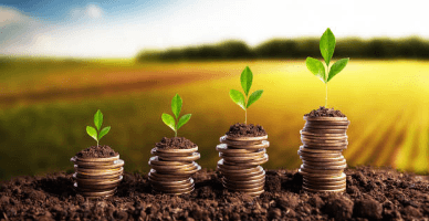 288 de afaceri agricole micro și mici au accesat finanțarea în cadrul programului FCA