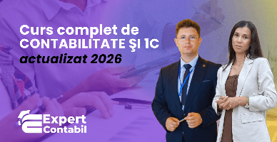 Expert Contabil: renaștere acasă prin contabilitate – succes garantat