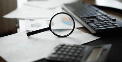 Rezultatele preliminare ale controalelor fiscale desfășurate în ianuarie 2026