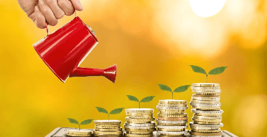 Legea privind Programul de rambursare a TVA pentru producătorii agricoli, revizuită