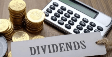 Impozitarea dividendelor distribuite către o companie nerezidentă prin prisma Convenției dintre RM şi Regatul Țârilor de Jos. Studiu de caz 