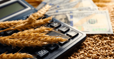 Rambursarea TVA pentru producătorii agricoli: modificările la Regulament, în vigoare 