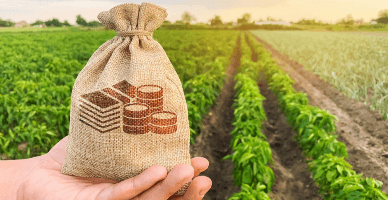 Rambursarea TVA pentru producătorii agricoli: proiectul noului Regulament înaintat pentru consultări publice 