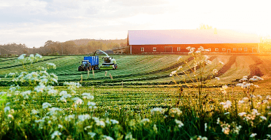 Выплаты домохозяйствам за участие в статистических исследованиях могут вырасти