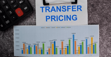 Dosarul principal (Master File) în RM: implicații în controlul prețurilor de transfer din 2025