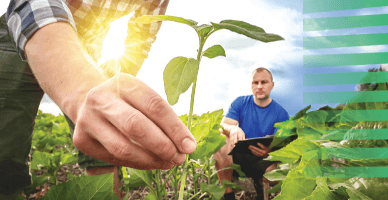 Un nou standard ocupațional