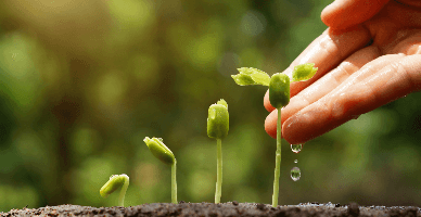 A fost modificat mecanismul de determinare a sumelor TVA spre rambursare pentru producătorii agricoli, pentru perioadele fiscale martie-decembrie 2026 inclusiv