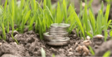 Exploatarea resurselor minerale: principiile constituirii garanției financiare pentru refacerea mediului, elaborate