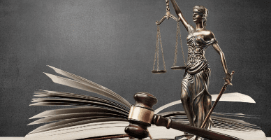 Confiscarea: aspecte juridice