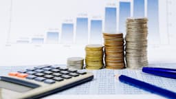 Capital de stimulare