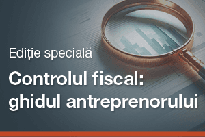 Controlul fiscal: ghidul antreprenorului