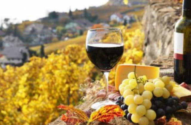 Vinificatorii moldoveni au stabilit contacte noi de colaborare