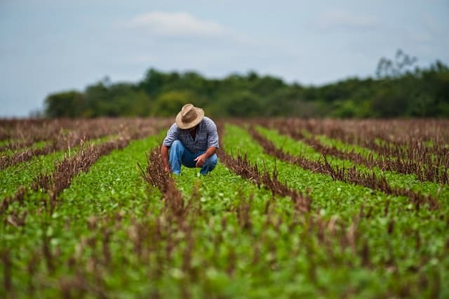 Asociația Internațională pentru Dezvoltare va oferi suport pentru dezvoltarea agriculturii în Republica Moldova