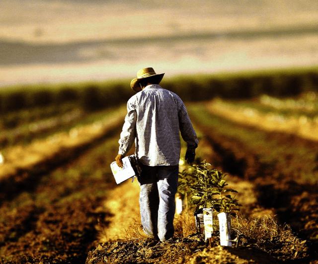 Agricultorii vor primi ajutor financiar din Fondul de rezervă a Guvernului