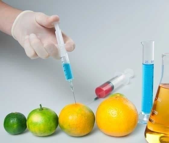Din 2018, în Moldova poate fi interzis importul unor mărfuri ce conțin organisme modificate genetic