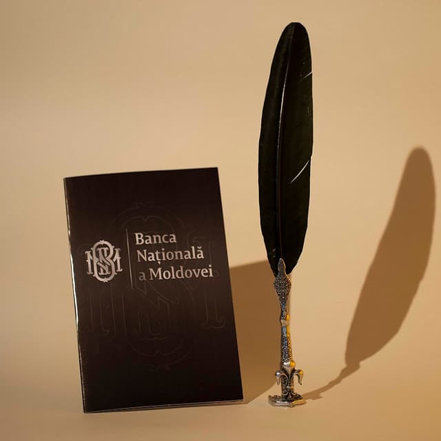 BNM a aprobat rigorile pentru declararea voluntară