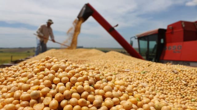 Producţia globală agricolă în ianuarie-iunie 2016