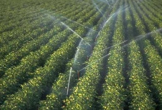 La Coșnița a fost lansat sistemul de irigare, reabilitat cu suportul Corporației americane ”Provocările Mileniului”