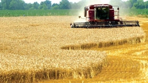 Ministerele Agriculturii din Moldova și Iordania au semnat un acord de colaborare
