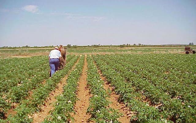 Pachetul agricol, amânat de la o zi la alta: trebuie consultat de Guvern