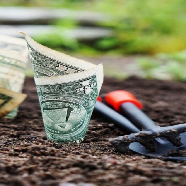 AIPA oдобрило первые субсидии за текущий год