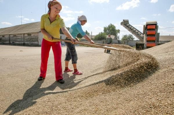 Femeile-agricultori ar putea beneficia de un adaos de 15 la sută la subvenţia acordată de stat