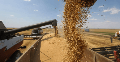 CSE a decis aplicarea restricțiilor la importul unor mărfuri agricole