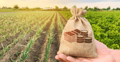 Extinderea Programului de rambursare a TVA pentru producătorii agricoli: actualizări în Regulament