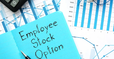 Stock Option Plan: beneficiarii, tratamentul fiscal și termenul de implementare