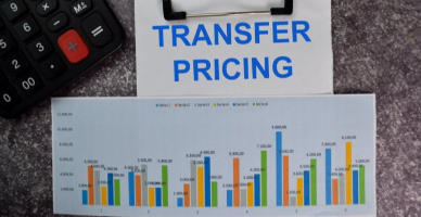 Dosarul principal (Master File) în RM: implicații în controlul prețurilor de transfer din 2025