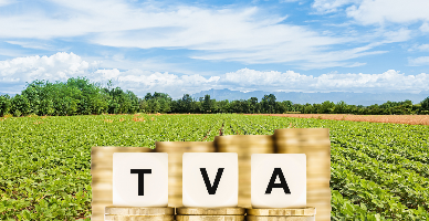Modificările în rambursarea TVA pentru producătorii agricoli