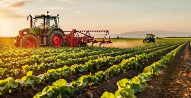 Facilitatea de Creditare în Agricultură: 483 de afaceri din sectorul agricol au fost finanțate 